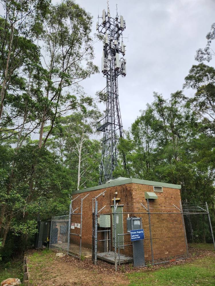 A mobile network tower and equipment hut in bushland